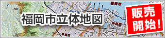 福岡市立体地図